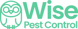 Wise Pest Control logo featuring the brand name "Wise" in green, emphasizing pest management services in Los Angeles County.